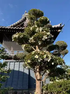 宗栄寺(愛知県)