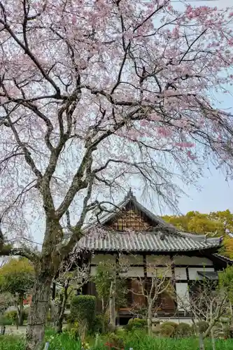 惠心院(京都府)