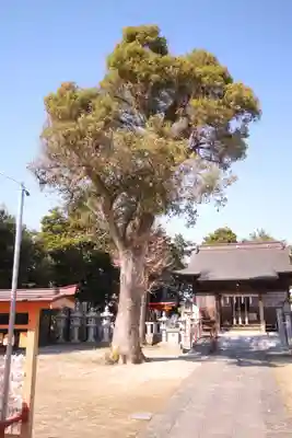 八條八幡神社(埼玉県)