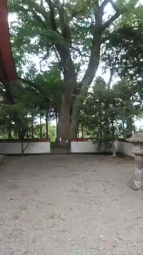 妻垣神社の自然