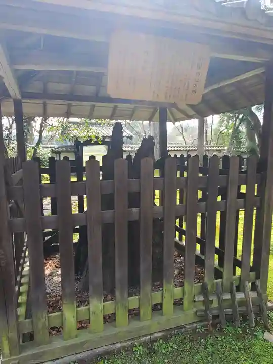 西念寺(茨城県)