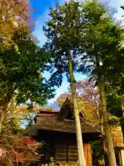 愛宕神社の建物その他