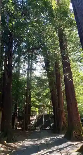萩日吉神社の自然