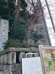 代々木八幡宮の狛犬