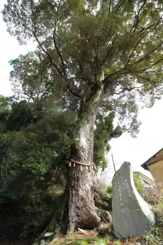 日枝神社(静岡県)