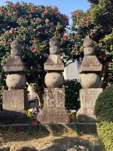 蓮大寺(神奈川県)