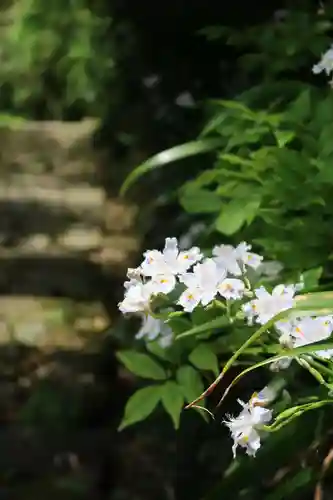 桑実寺(滋賀県)
