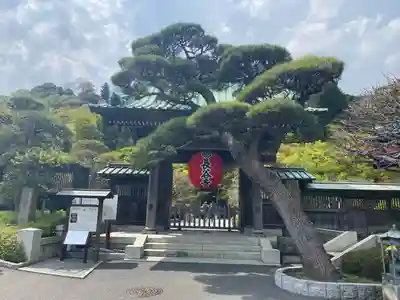 長谷寺(神奈川県)
