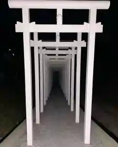 済渡寺の体験その他(2023年11月28日(火) 22時09分55秒投稿)