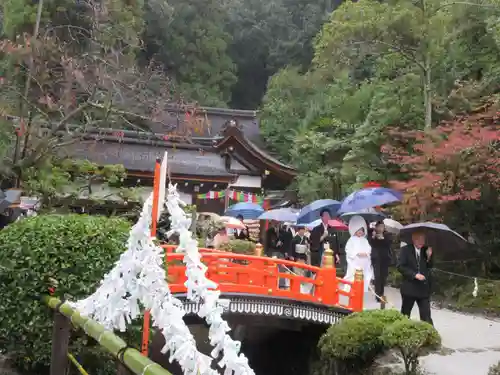 賀茂別雷神社（上賀茂神社）の結婚式