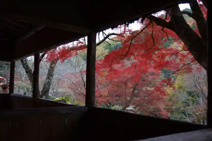 白龍神社(京都府)