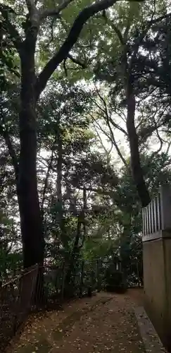 浅間神社(千葉県)