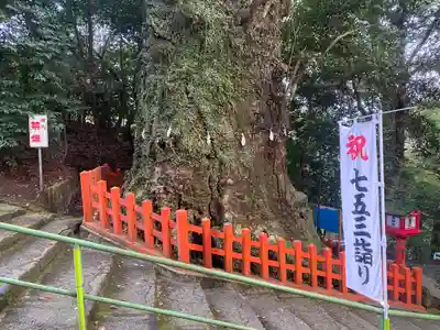新田神社(鹿児島県)