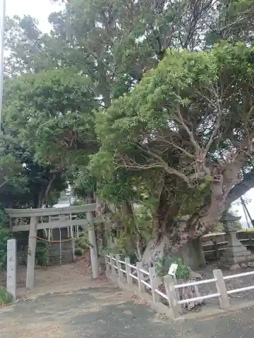 三島神社(愛知県)