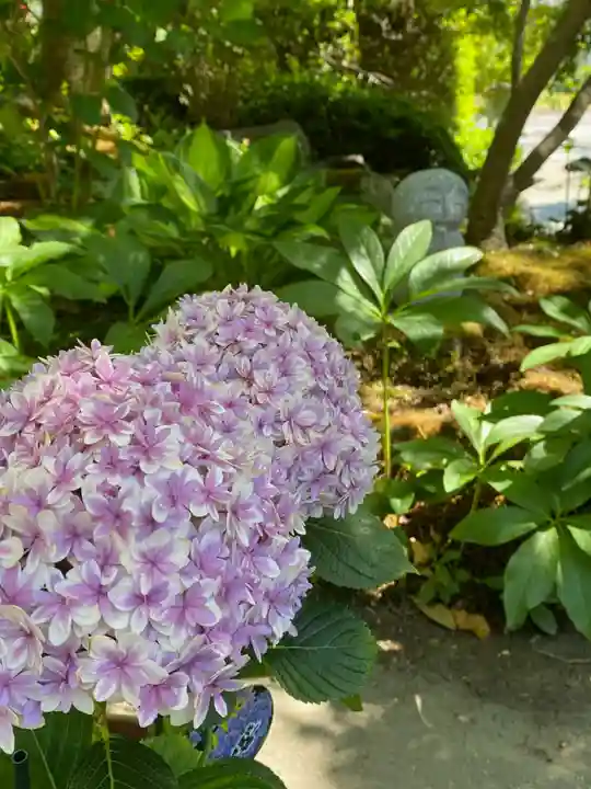 長命寺(福島県)