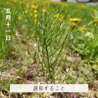 壽徳寺 じゅとくじ(福島県)