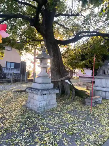 島田八坂神社(栃木県)