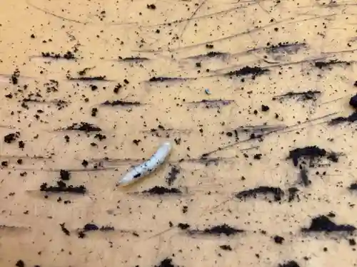 蓮久寺(千葉県)