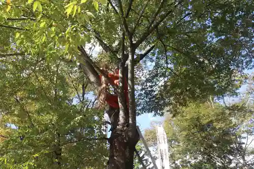 美奈宜神社(福岡県)