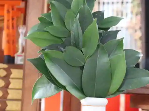 合槌稲荷大明神の自然