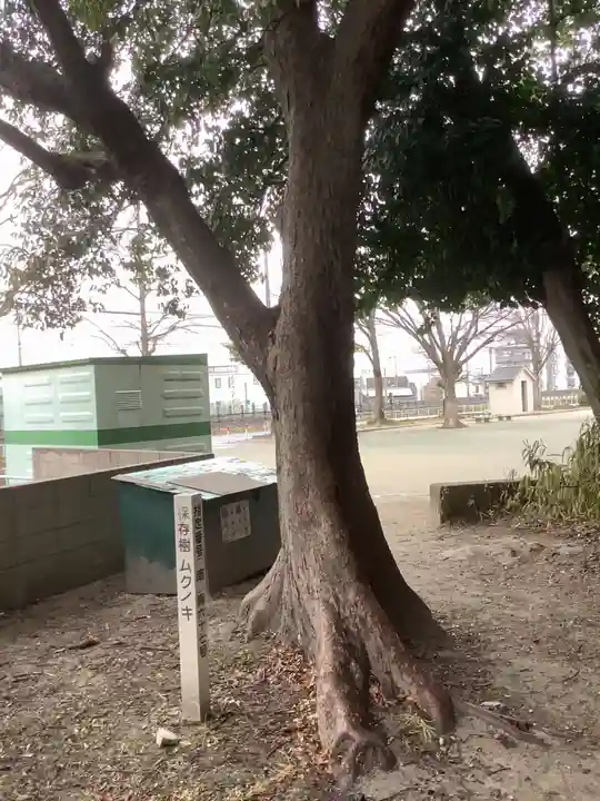 七所神社の自然
