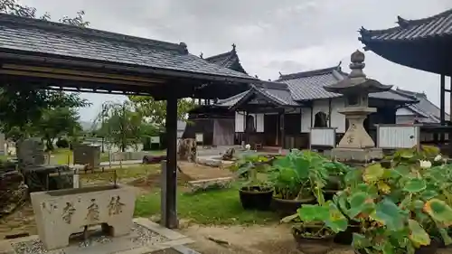 餘慶寺の手水