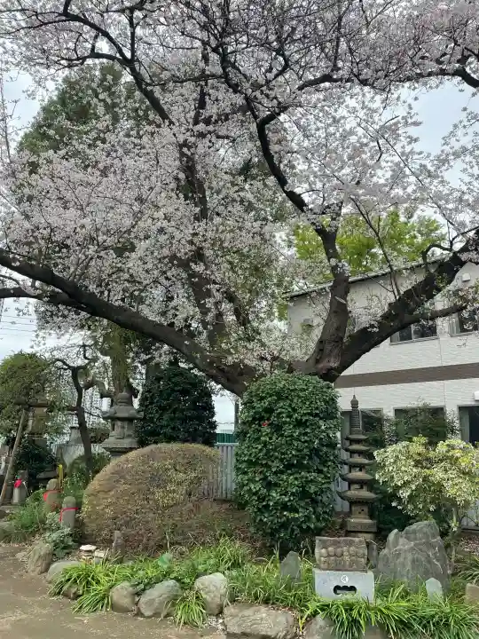真福寺の{uncategorized: "未分類", other: "その他", undefined: "問題あり", building: "その他建物", grave: "お墓", sacred_gate: "鳥居", guardian: "狛犬", statue: "像", buddha: "仏像", history: "歴史", nature: "自然", garden: "庭園", animal: "動物", pagoda: "塔", temizu: "手水舎", mountain_gate: "山門・神門", sanctuary: "本殿・本堂", subordinate: "末社・摂社", art: "芸術", scenery: "景色", jizo: "地蔵", ema: "絵馬", goshuin: "御朱印", omikuji: "おみくじ", items: "授与品その他", amulet: "お守り", goshuincho: "御朱印帳", eats: "食事", festival: "お祭り", votive_dance: "神楽", shichigosan: "七五三参", wedding: "結婚式", experience: "体験その他", initially: "初詣", around: "周辺", anti_infection: "感染症対策"}