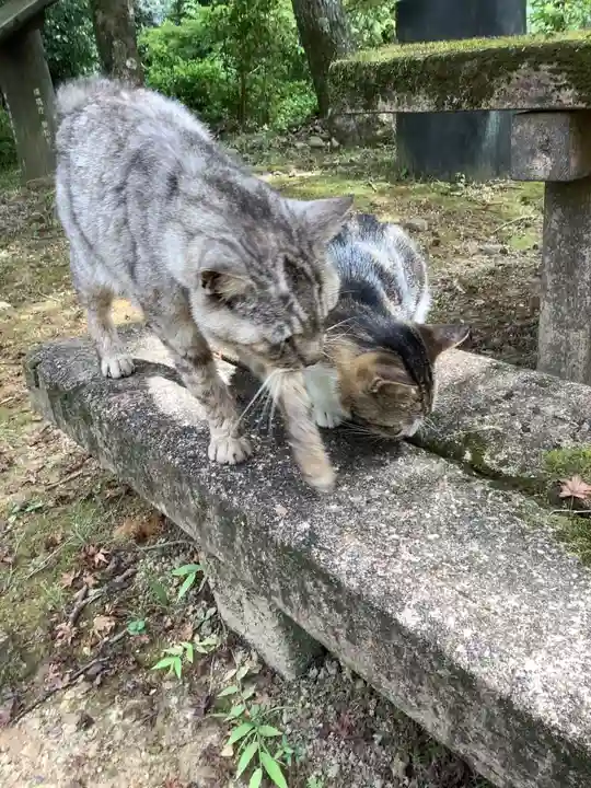 玉野御嶽神社の動物