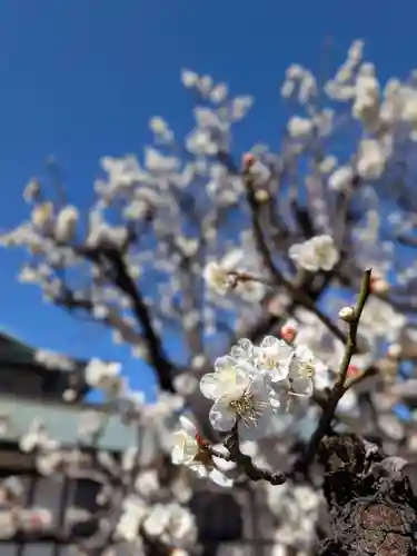 瑞円寺(東京都)