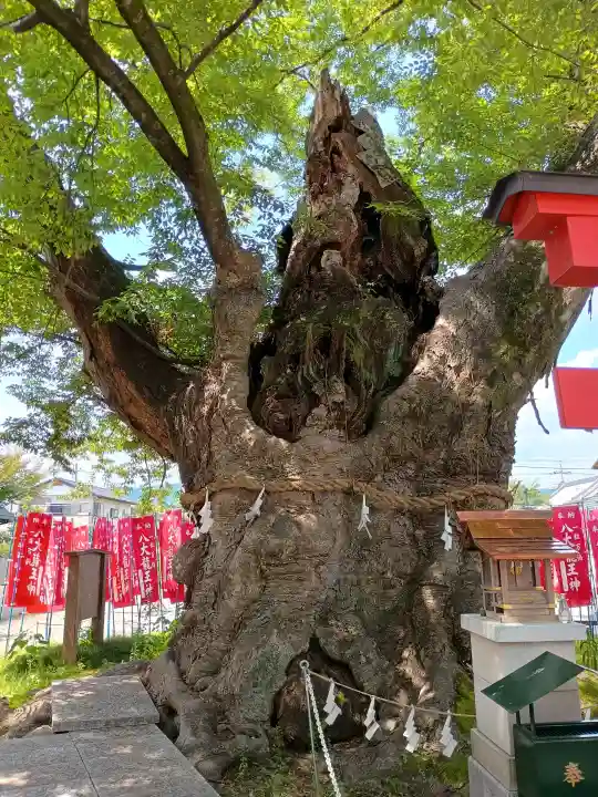 秩父今宮神社の{uncategorized: "未分類", other: "その他", undefined: "問題あり", building: "その他建物", grave: "お墓", sacred_gate: "鳥居", guardian: "狛犬", statue: "像", buddha: "仏像", history: "歴史", nature: "自然", garden: "庭園", animal: "動物", pagoda: "塔", temizu: "手水舎", mountain_gate: "山門・神門", sanctuary: "本殿・本堂", subordinate: "末社・摂社", art: "芸術", scenery: "景色", jizo: "地蔵", ema: "絵馬", goshuin: "御朱印", omikuji: "おみくじ", items: "授与品その他", amulet: "お守り", goshuincho: "御朱印帳", eats: "食事", festival: "お祭り", votive_dance: "神楽", shichigosan: "七五三参", wedding: "結婚式", experience: "体験その他", initially: "初詣", around: "周辺", anti_infection: "感染症対策"}