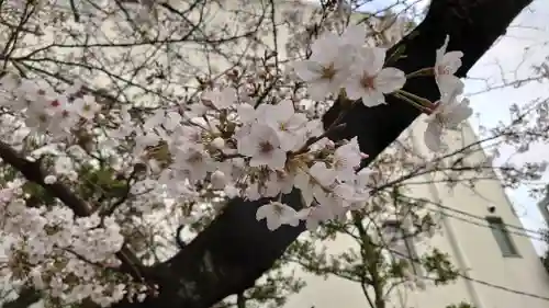 猿江神社の自然