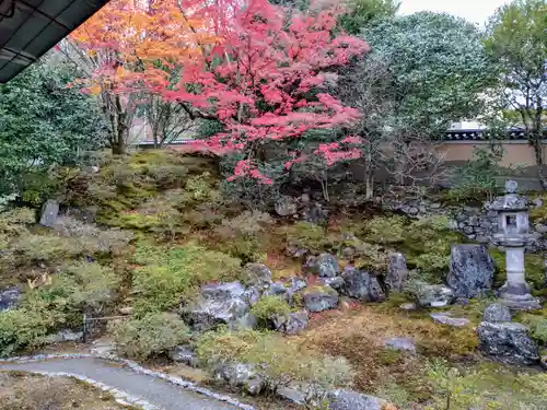 霊鑑寺門跡(京都府)