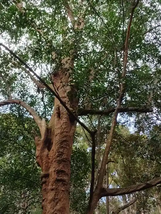 豊浦神社(三重県)