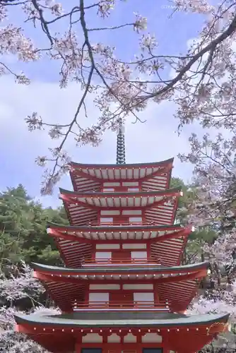新倉富士浅間神社(山梨県)