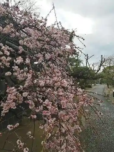 龍光寺(三重県)