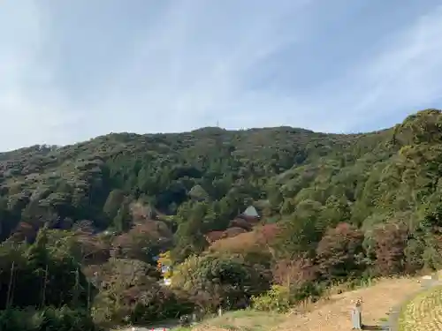 普門寺(切り絵御朱印発祥の寺)の景色