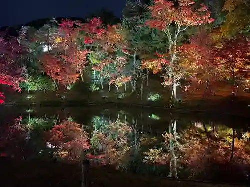 高台寺（高台寿聖禅寺・高臺寺）(京都府)