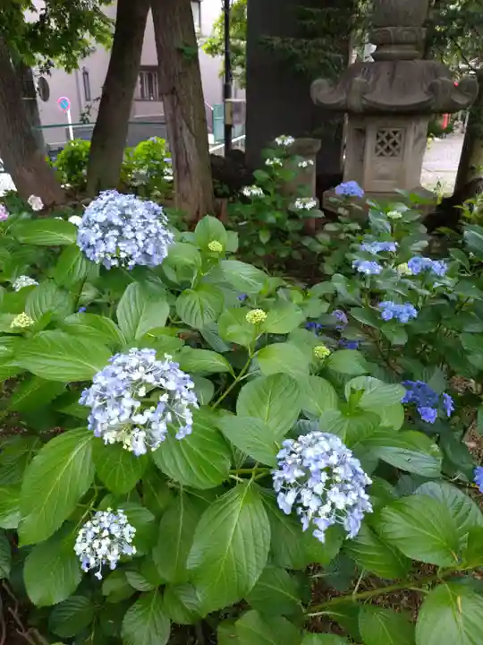 本郷氷川神社(東京都)