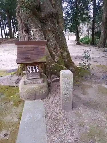 稲田神社(茨城県)