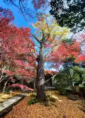 蓮華寺（洛北蓮華寺）(京都府)