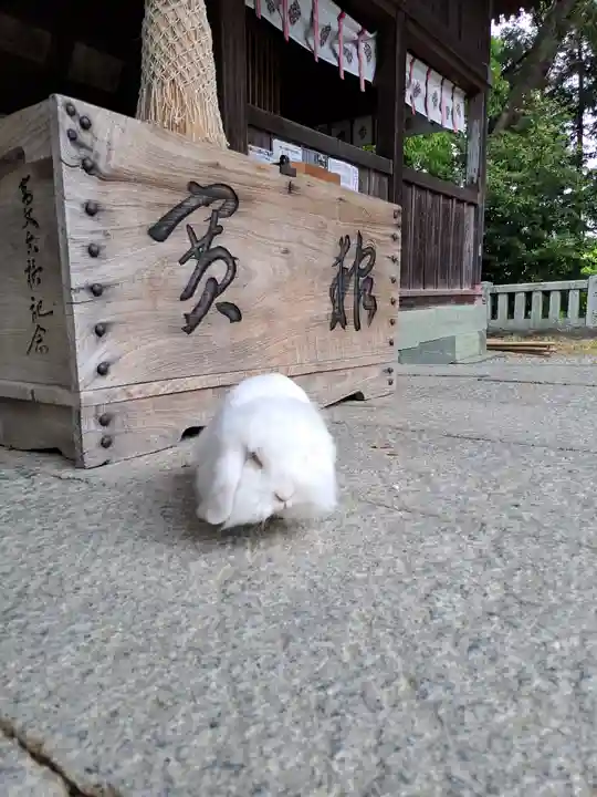 大御和神社(徳島県)
