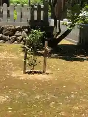 清瀧神社(福井県)