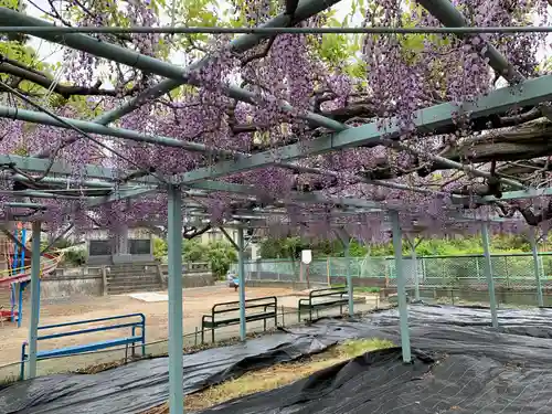 菖蒲神社(埼玉県)