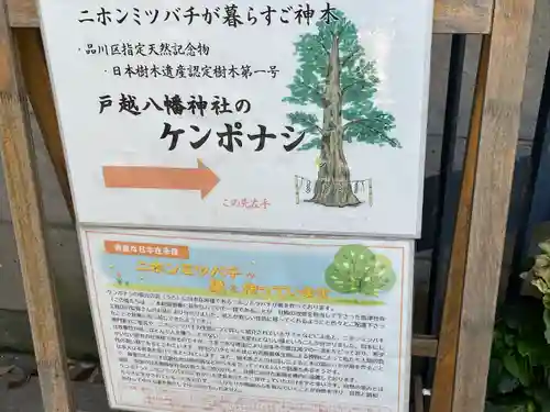 戸越八幡神社(東京都)