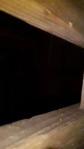 神社(名称不明)(茨城県)