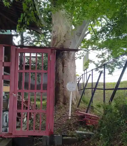 旅立稲荷神社(宮城県)