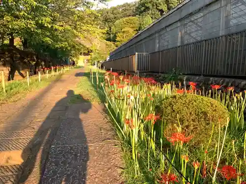 横浜　西方寺の周辺