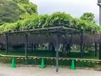 平等院の{uncategorized: "未分類", other: "その他", undefined: "問題あり", building: "その他建物", grave: "お墓", sacred_gate: "鳥居", guardian: "狛犬", statue: "像", buddha: "仏像", history: "歴史", nature: "自然", garden: "庭園", animal: "動物", pagoda: "塔", temizu: "手水舎", mountain_gate: "山門・神門", sanctuary: "本殿・本堂", subordinate: "末社・摂社", art: "芸術", scenery: "景色", jizo: "地蔵", ema: "絵馬", goshuin: "御朱印", omikuji: "おみくじ", items: "授与品その他", amulet: "お守り", goshuincho: "御朱印帳", eats: "食事", festival: "お祭り", votive_dance: "神楽", shichigosan: "七五三参", wedding: "結婚式", experience: "体験その他", initially: "初詣", around: "周辺", anti_infection: "感染症対策"}