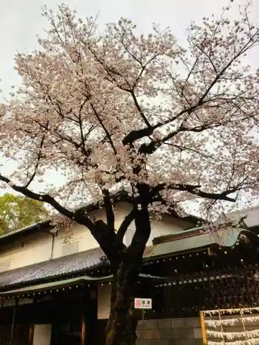 妙法寺(東京都)
