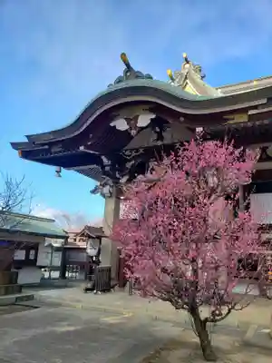 諏訪神社(東京都)